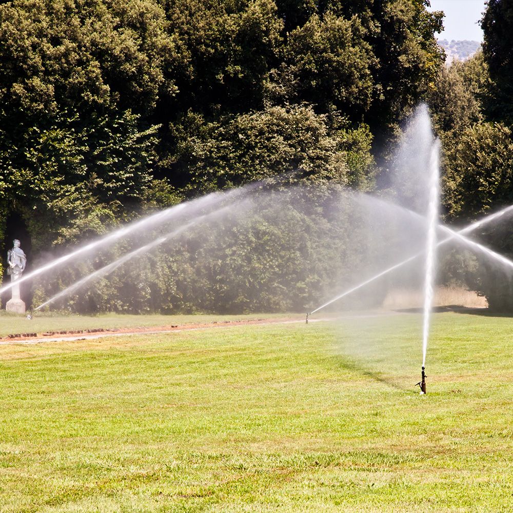 Ein Sprinklersystem sprüht Wasser auf ein grünes, saftiges Feld