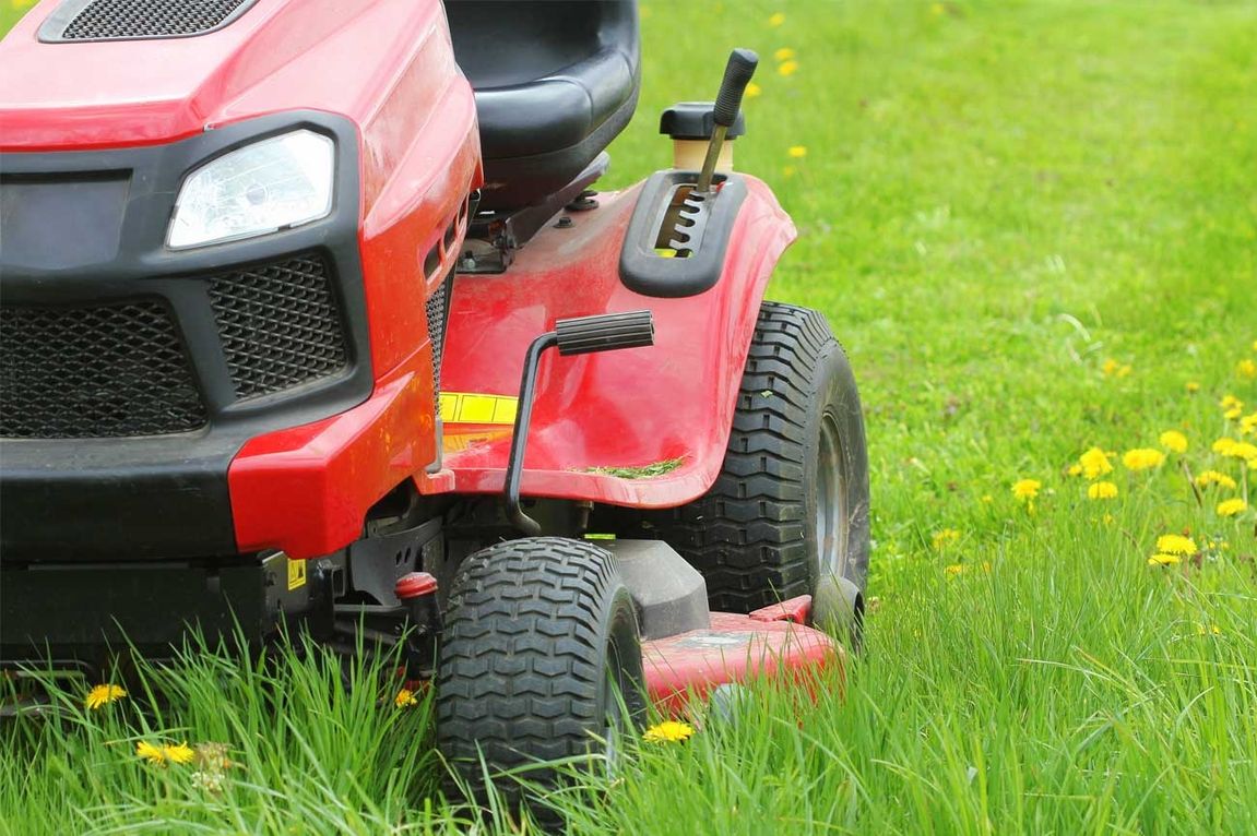 Gartenpflege in Friedeburg und Umgebung Rasenmähen und Heckenschnitt