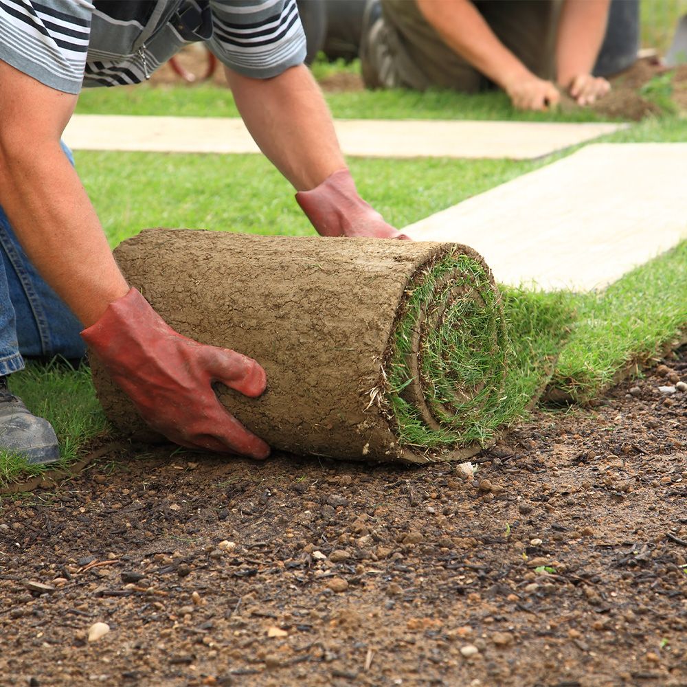 Ein Mann verlegt Rasen auf einem gepflegten Rasenfläche, um einen grünen und einladenden Garten zu schaffen