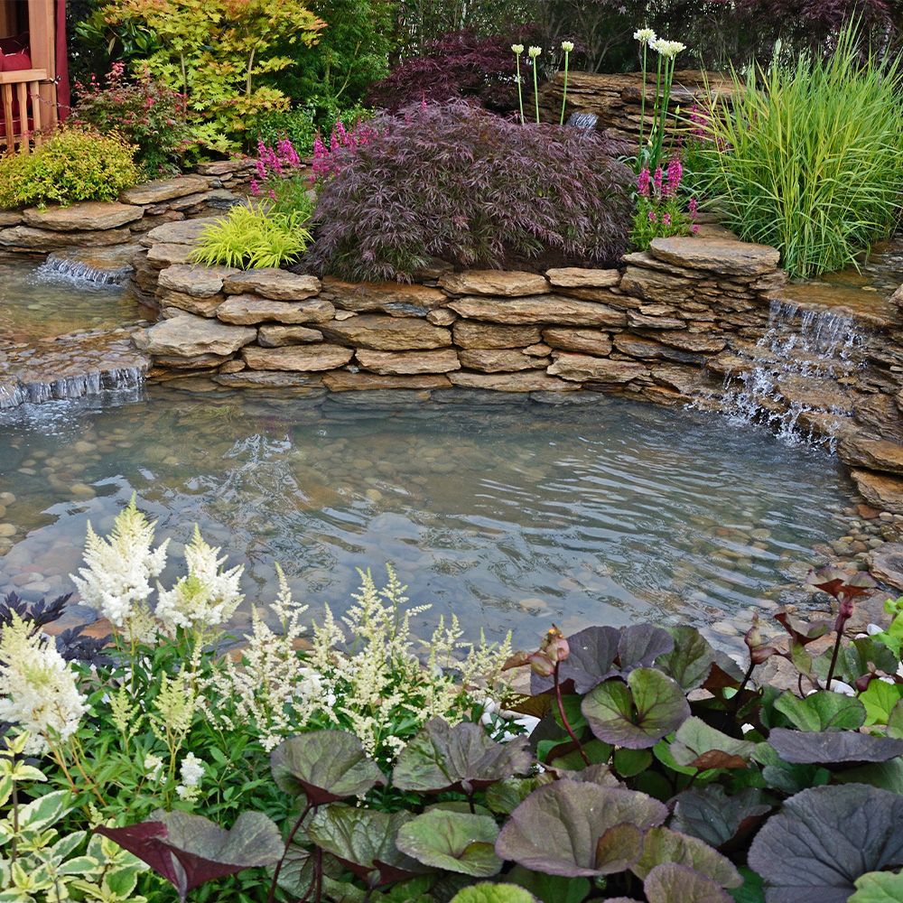 Ein malerischer Gartenteich mit plätschernden Wasserfällen und vielfältiger Pflanzenwelt, die Ruhe und Schönheit ausstrahlt